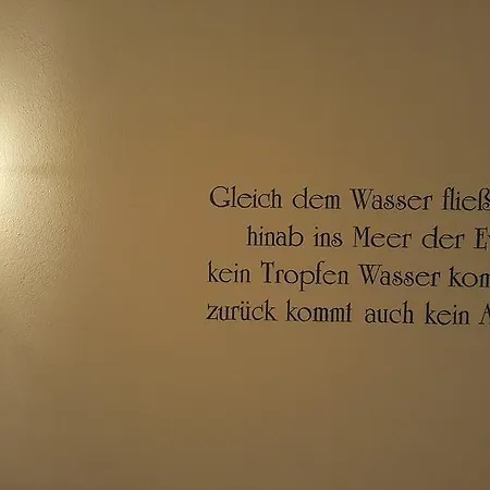 Parseierblick